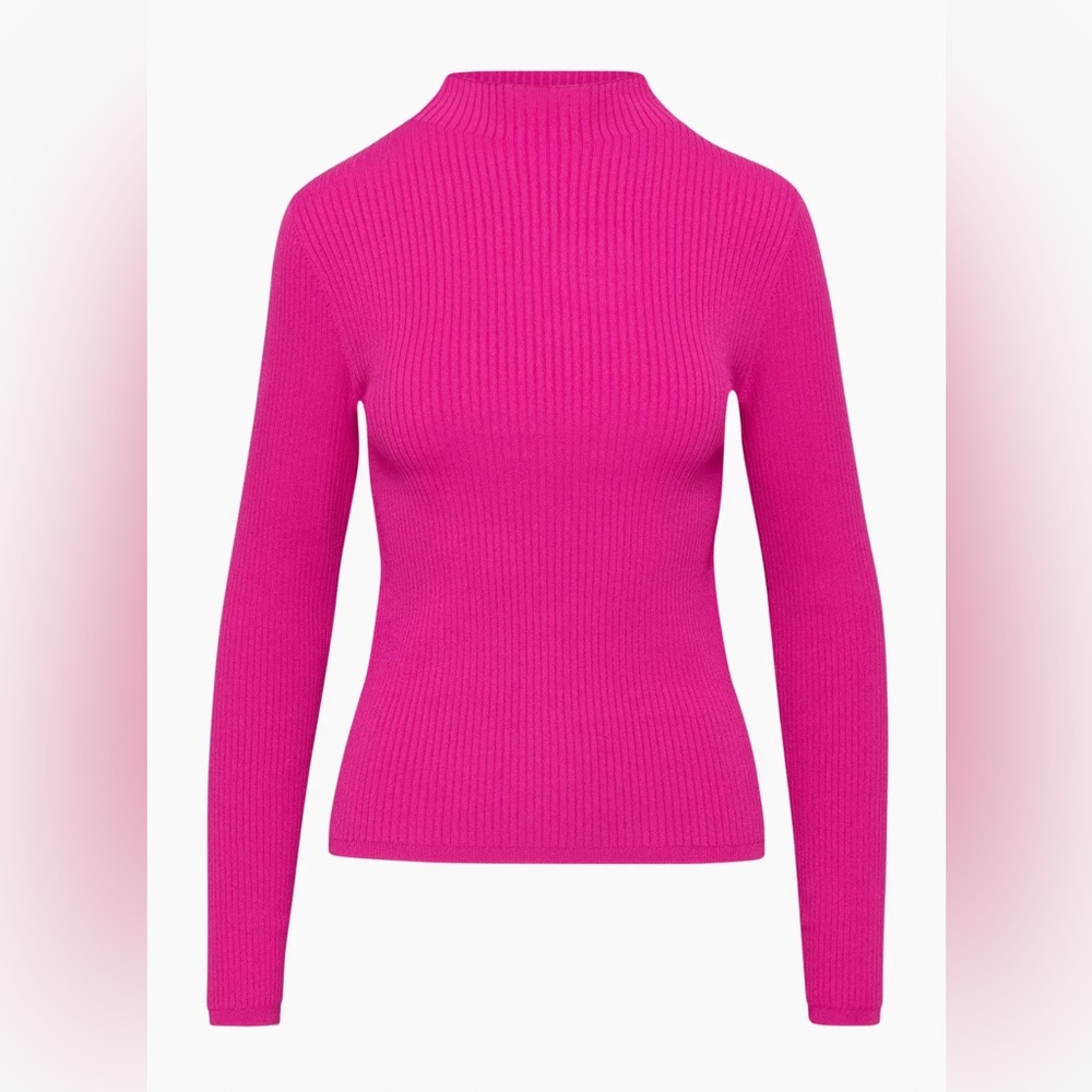 Aritzia Babaton Amer Sculpt Knit Mockneck